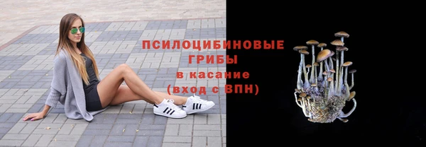 МДПВ Армянск